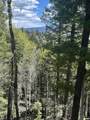 Lot 13 Palo Flechado Ridge Road - Photo 21