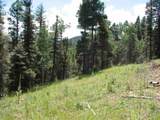 Lot 13 Palo Flechado Ridge Road - Photo 3