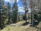 Lot 13 Palo Flechado Ridge Road - Photo 4