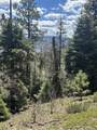 Lot 13 Palo Flechado Ridge Road - Photo 5