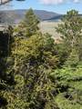 Lot 13 Palo Flechado Ridge Road - Photo 6