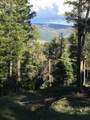 Lot 13 Palo Flechado Ridge Road - Photo 7