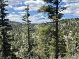 Lots 16 Lot17 Palo Flechado Ridge Road - Photo 10