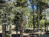 Lots 16 Lot17 Palo Flechado Ridge Road - Photo 12