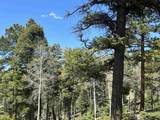 Lots 16 Lot17 Palo Flechado Ridge Road - Photo 13