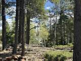 Lots 16 Lot17 Palo Flechado Ridge Road - Photo 15