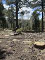 Lots 16 Lot17 Palo Flechado Ridge Road - Photo 18