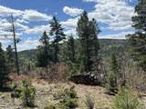 Lots 16 Lot17 Palo Flechado Ridge Road - Photo 2