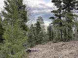Lots 16 Lot17 Palo Flechado Ridge Road - Photo 21