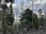 Lots 16 Lot17 Palo Flechado Ridge Road - Photo 22