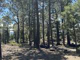 Lots 16 Lot17 Palo Flechado Ridge Road - Photo 24