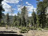 Lots 16 Lot17 Palo Flechado Ridge Road - Photo 6