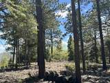 Lots 16 Lot17 Palo Flechado Ridge Road - Photo 8