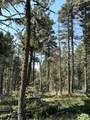 Lot 183 Taos Drive - Photo 5