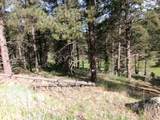 Lot 160 Valle Grande Tr S - Photo 4