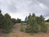 Lot 17 Duval Rd - Photo 17