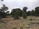 Lot 17 Duval Rd - Photo 18