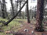 Lot 1498 Vista Del Sur - Photo 8