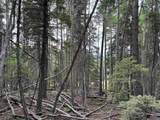 Lot 141 Back Basin Rd - Photo 13