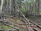 Lot 141 Back Basin Rd - Photo 14