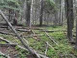 Lot 141 Back Basin Rd - Photo 15