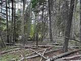 Lot 141 Back Basin Rd - Photo 3