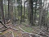 Lot 141 Back Basin Rd - Photo 5