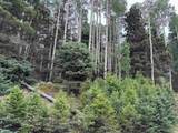Lot 141 Back Basin Rd - Photo 7