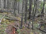 Lot 141 Back Basin Rd - Photo 8