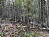 Lot 141 Back Basin Rd - Photo 9