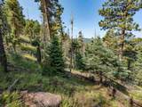 Lot 400 Vail Loop - Photo 20