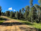 Lot 80 Via De Maria - Photo 11