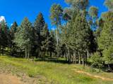 Lot 80 Via De Maria - Photo 12