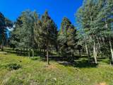 Lot 80 Via De Maria - Photo 14