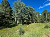 Lot 80 Via De Maria - Photo 15