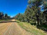 Lot 80 Via De Maria - Photo 16