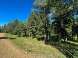 Lot 80 Via De Maria - Photo 17