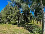 Lot 80 Via De Maria - Photo 20