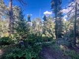 Lot 1465 Peralta Dr - Photo 1