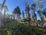 Lot 1465 Peralta Dr - Photo 2