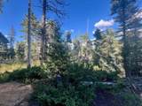 Lot 1465 Peralta Dr - Photo 5