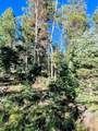 Lot 1465 Peralta Dr - Photo 6