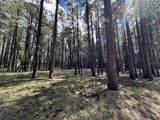 Lot 21 Broadmoor - Photo 1