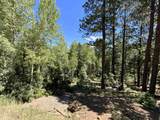 Lot 22 Taos Pines Ranch Rd - Photo 1