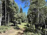 Lot 22 Taos Pines Ranch Rd - Photo 3