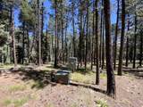 Lot 22 Taos Pines Ranch Rd - Photo 5