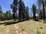 Lot 22 Taos Pines Ranch Rd - Photo 6