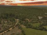  17 Acres Off Lower Ojito Road - Photo 1