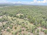  17 Acres Off Lower Ojito Road - Photo 13