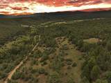  17 Acres Off Lower Ojito Road - Photo 18